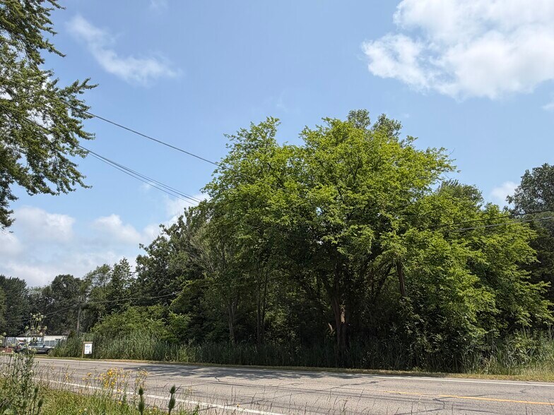 More Photos Of 0000 Huron River Dr, New Boston Land For Sale