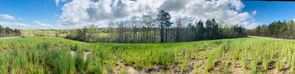 More Photos Of Anson High School, Wadesboro Land For Sale