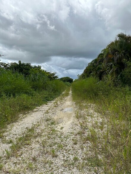 More Photos Of 37050 SW 183rd Ave, Homestead Land For Sale