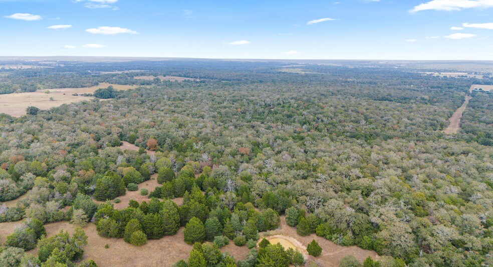 More Photos Of TBD County #415 rd, Lexington Land For Sale