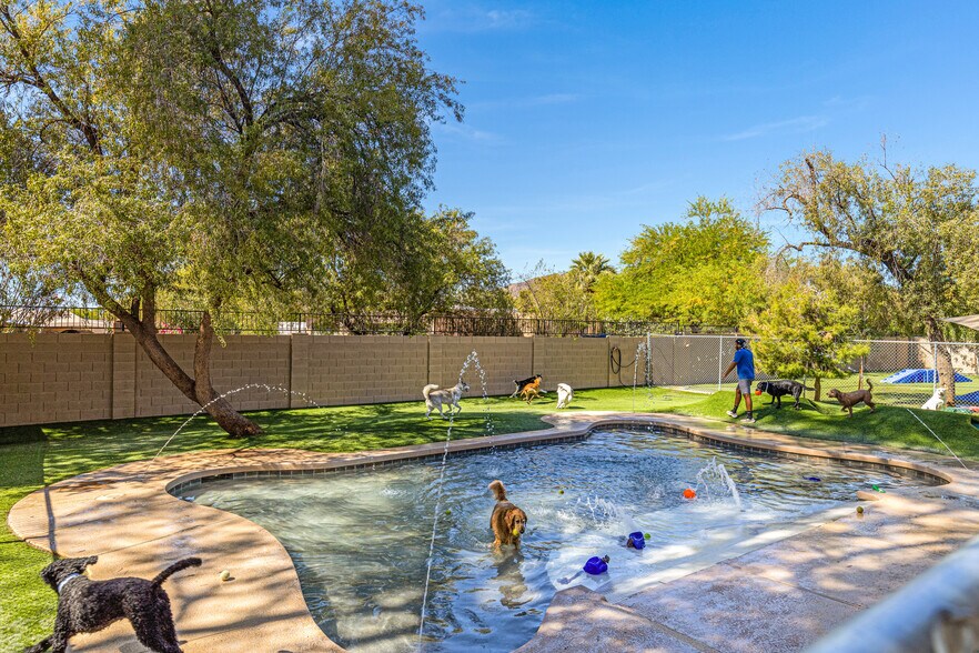 More Photos Of 6909 E Lincoln Dr, Paradise Valley Veterinarian Kennel For Sale
