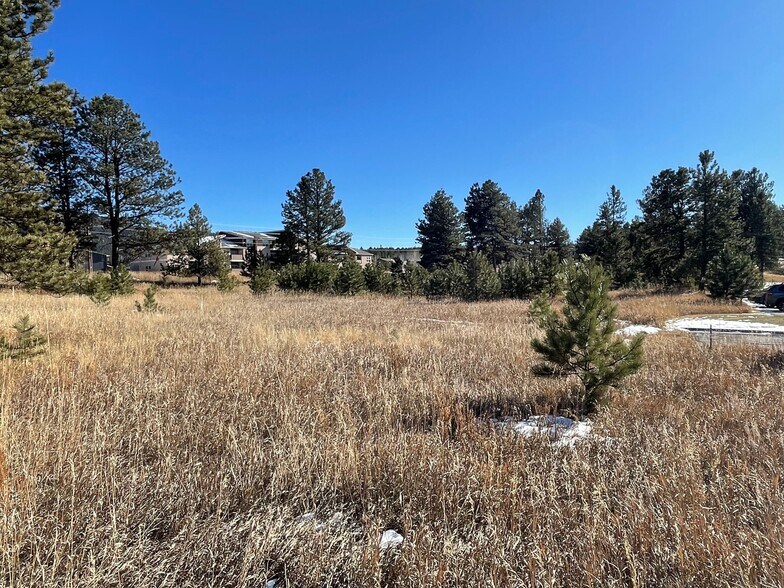 More Photos Of 841 Research Dr, Woodland Park Land For Sale