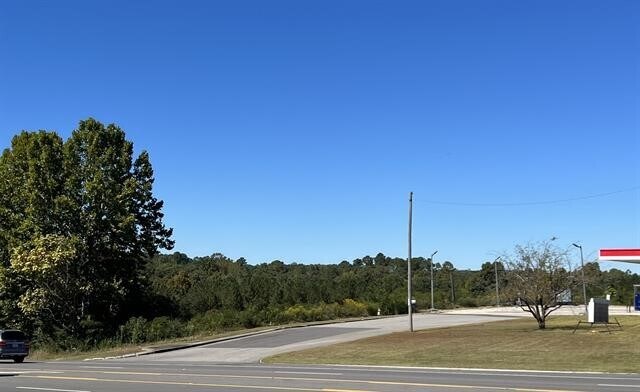 Primary Photo Of A HWY 157, Cullman Land For Sale