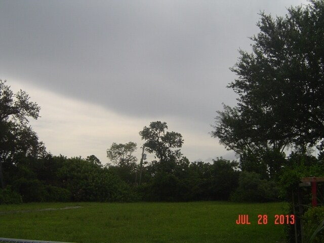 More Photos Of 2449 Taylor St, Hollywood Land For Sale