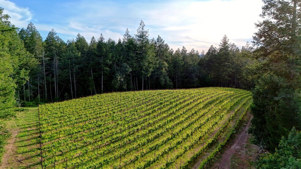 More Photos Of 425 Cold Springs Rd, Angwin Land For Sale