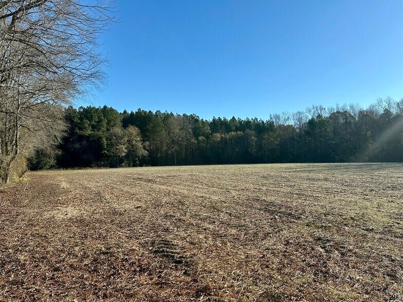 More Photos Of US Highway 301 N, Micro Land For Sale