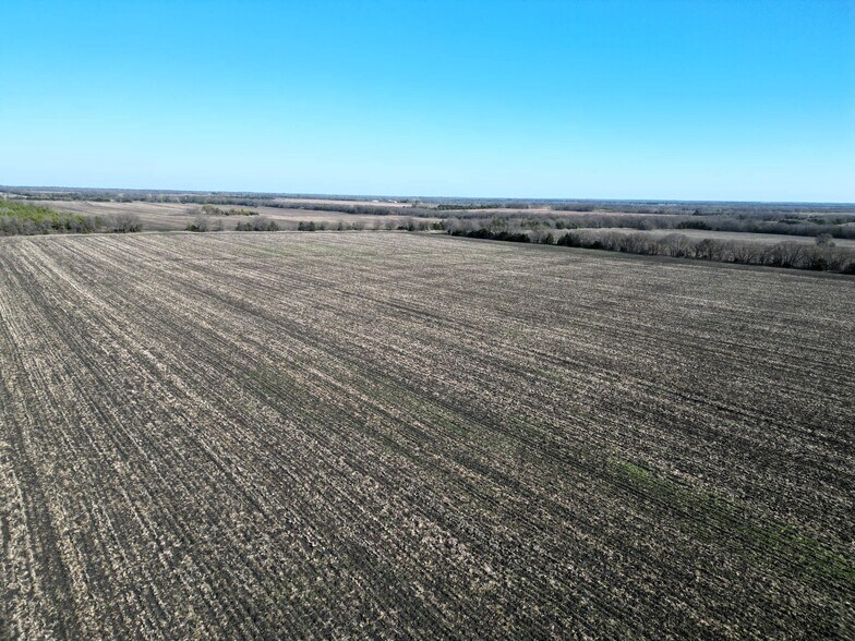 More Photos Of 99 ac County Road 4914, Ladonia Land For Sale