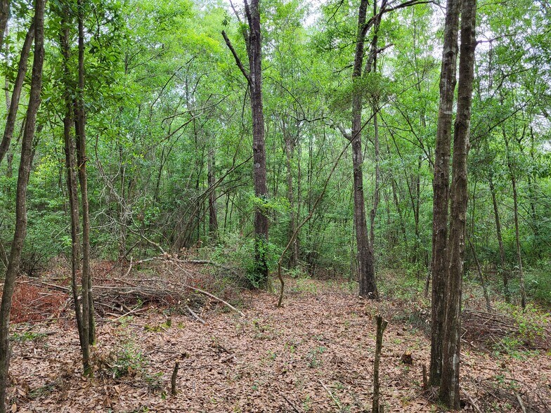 More Photos Of 301 E Redstone Ave, Crestview Land For Sale