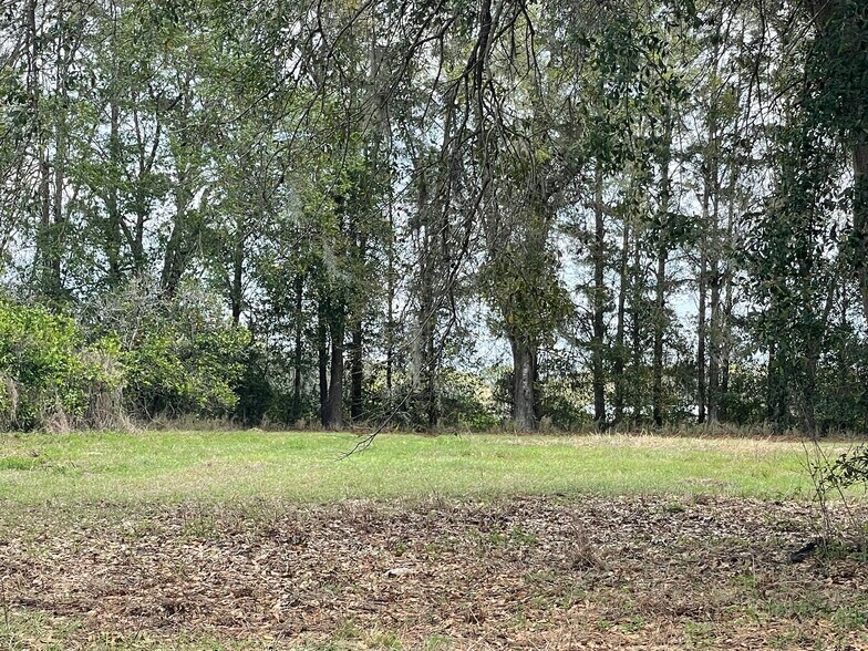 More Photos Of 16982 SE Highway 42, Weirsdale Land For Sale