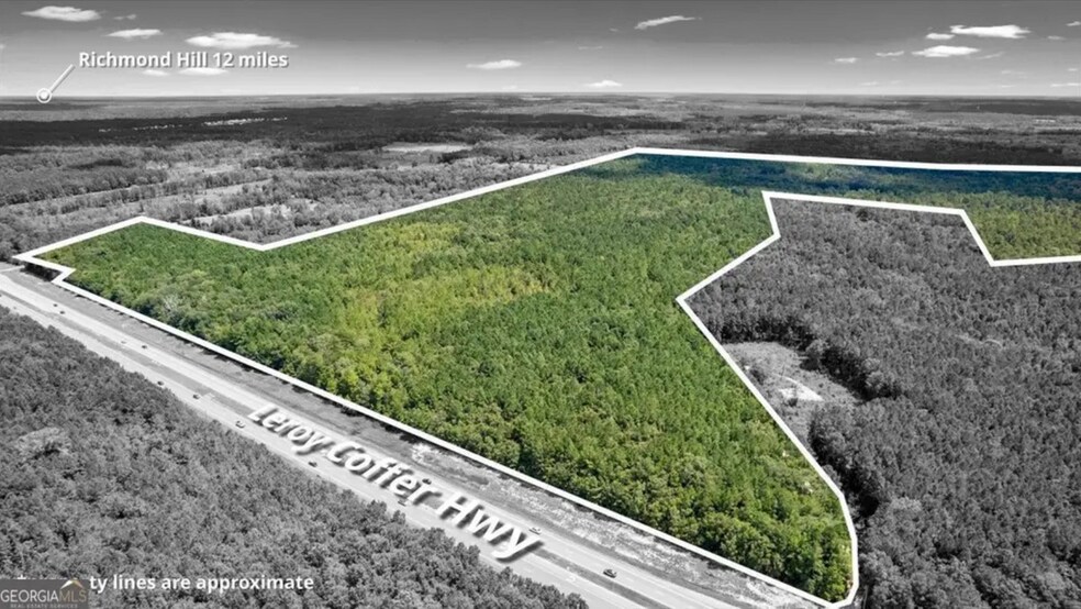 More Photos Of 262.44 AC Leroy Coffer hwy, Fleming Land For Sale