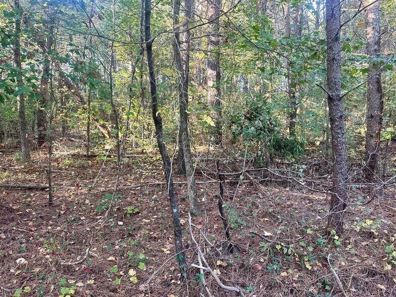 More Photos Of 00 NE Hwy 411, Rydal Land For Sale