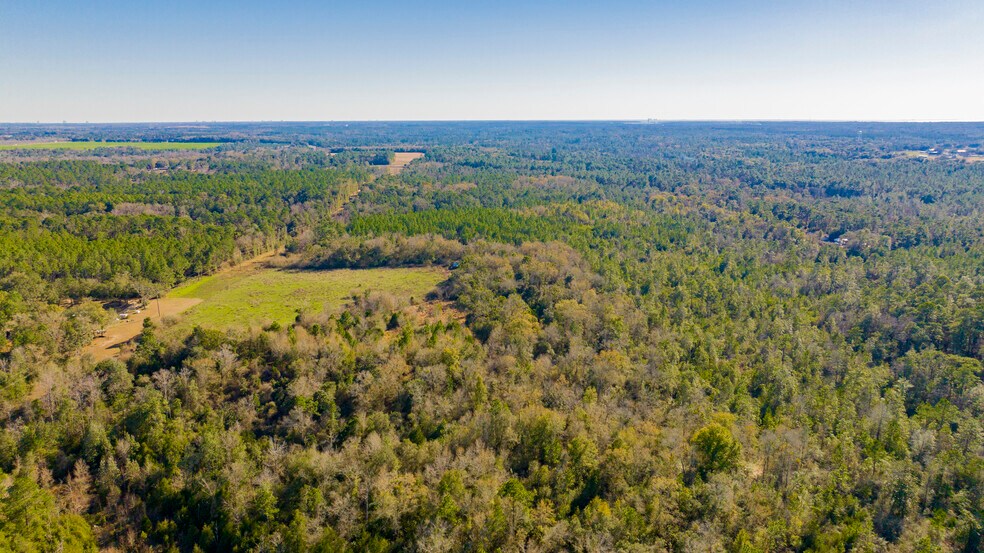 More Photos Of 12960 County Road 48, Silverhill Land For Sale