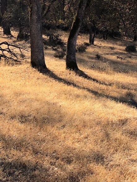 More Photos Of 1484 Oregon Gulch, Oroville Land For Sale