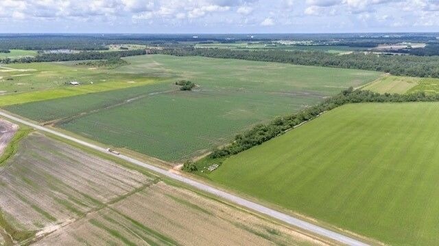 More Photos Of Co Rd 32, Foley Land For Sale