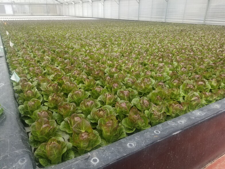 More Photos Of 4525 Cloverdale Rd, Pescadero Land For Sale