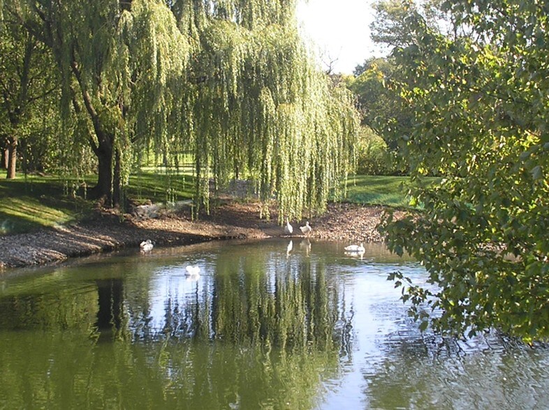 More Photos Of 1130 W Lake Cook Rd, Buffalo Grove Office For Lease