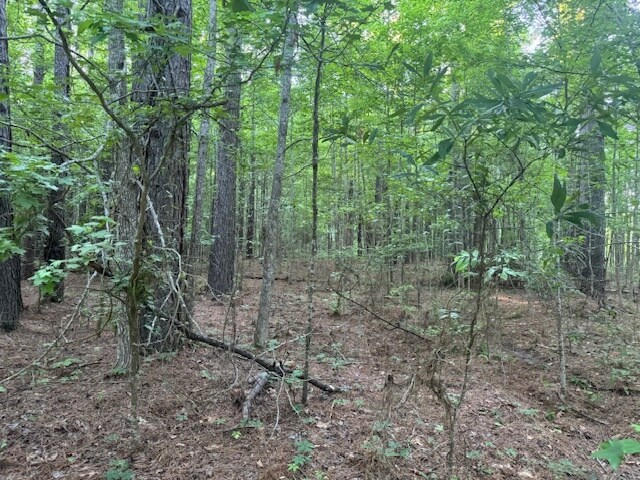 Primary Photo Of extension Fairway Drive Rd, Natchez Land For Sale