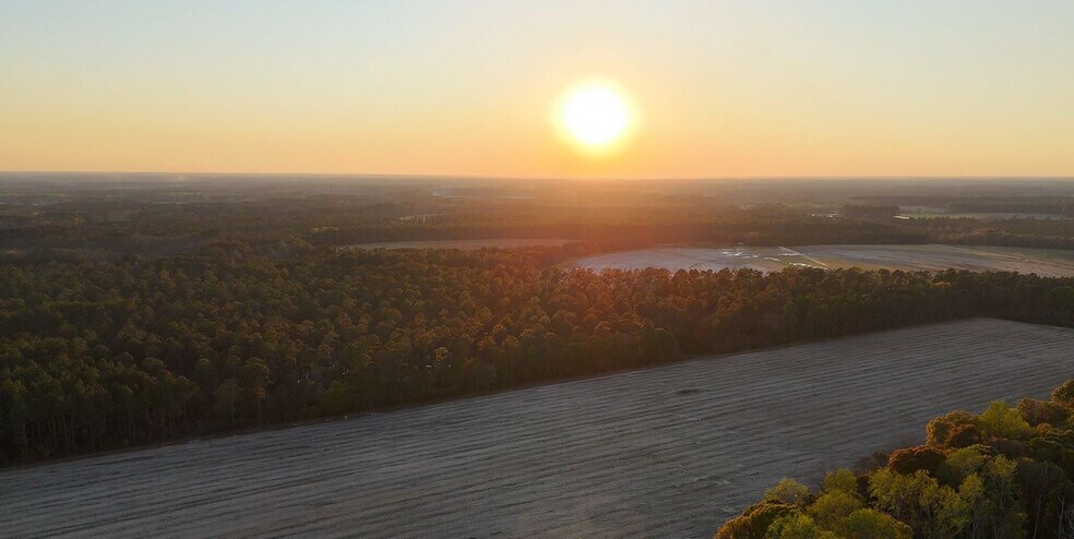 More Photos Of Ferry Lake rd, Tifton Land For Sale