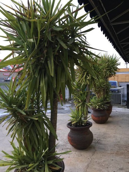 More Photos Of 8418 Broadway St, San Antonio Service For Lease