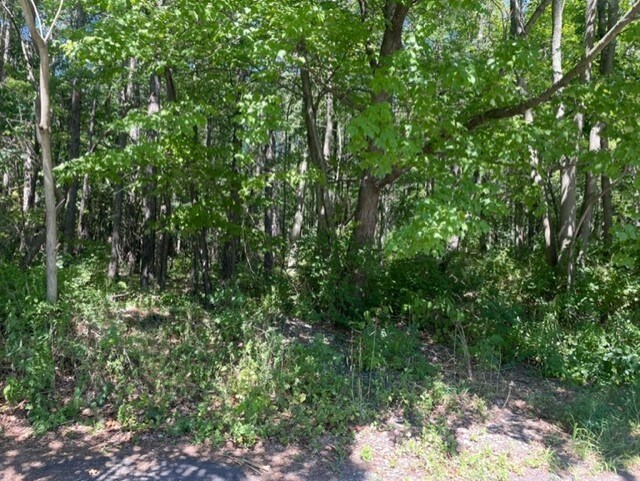 More Photos Of Crisp Ave @ Division St, Scranton Land For Sale