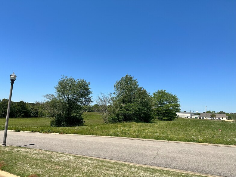 More Photos Of 0 Coulter Cv, New Albany Land For Sale