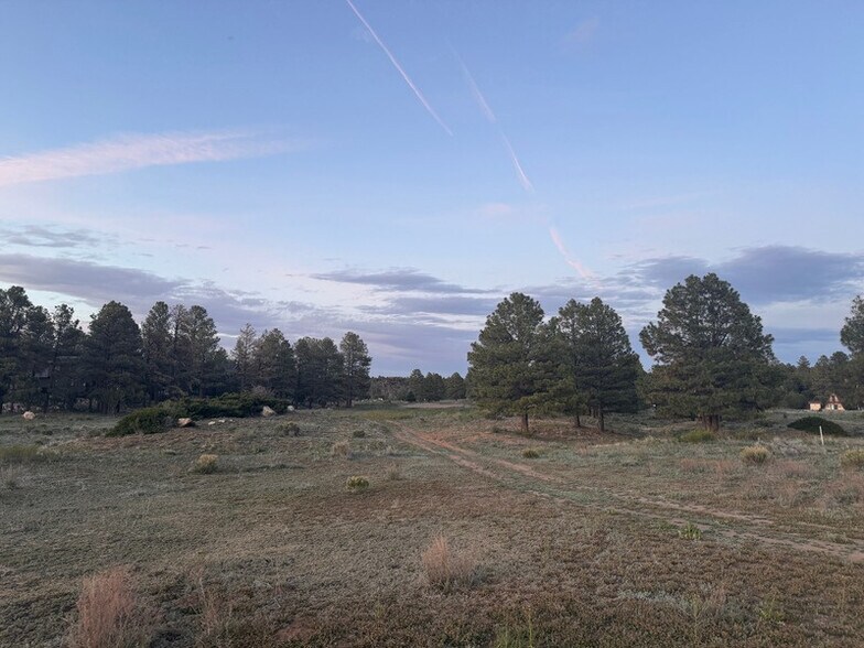 More Photos Of 2216 Mogollon Rim Dr, Overgaard Land For Sale