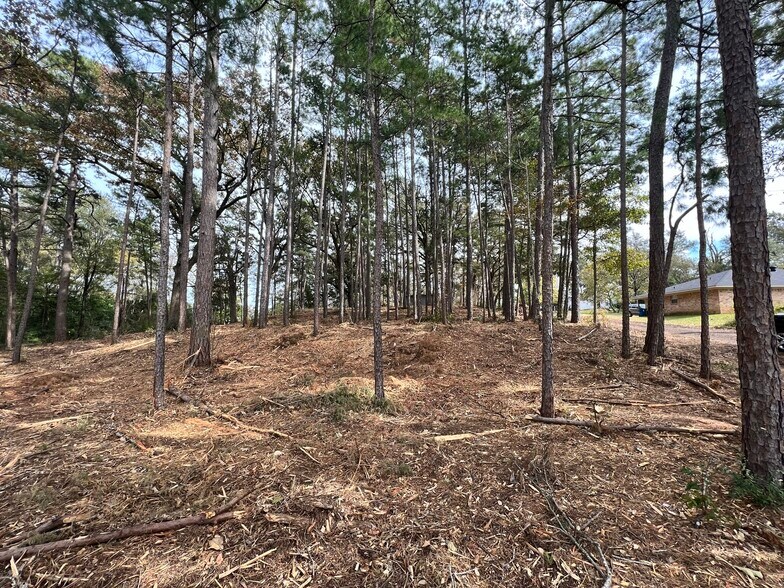 More Photos Of S Commerce @ Brandon St E, Overton Land For Sale