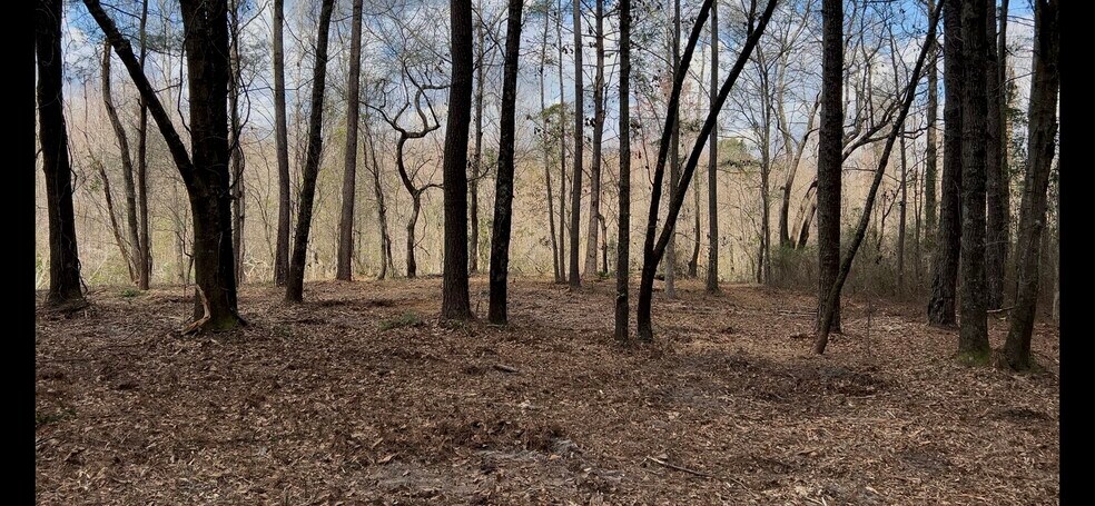 More Photos Of Victoria Blvd, Winnabow Land For Sale