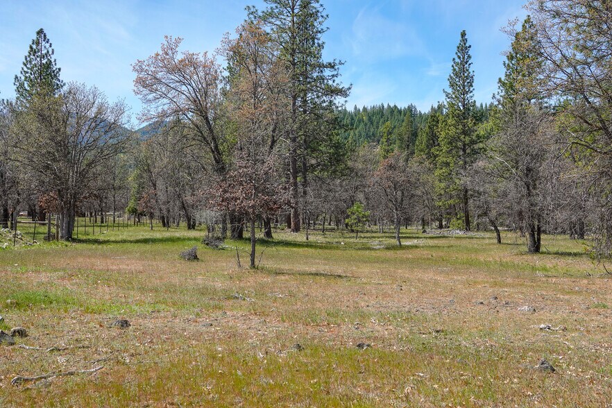 More Photos Of 2003 Kidder Creek Rd, Greenview Land For Sale