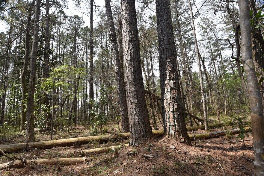 More Photos Of Warm Springs Rd @ GA-208, Waverly Hall Land For Sale