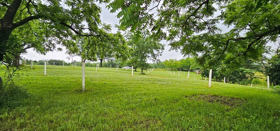 More Photos Of Evergreen Trail, Unionville Land For Sale