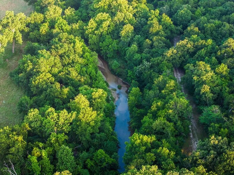 More Photos Of 0 County Road 328, Era Land For Sale