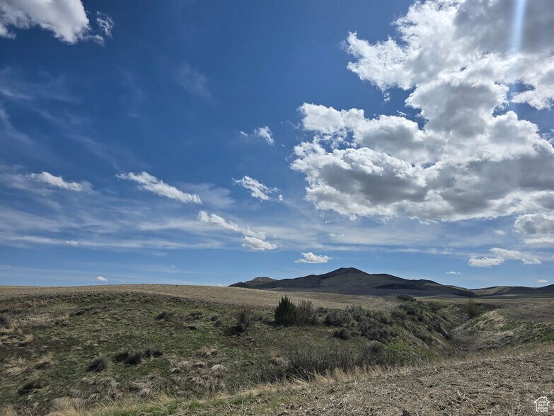 More Photos Of 4700 5800 S w, Weston Land For Sale