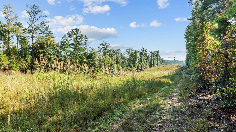 More Photos Of 2903 Steele Rd, Griffin Land For Sale