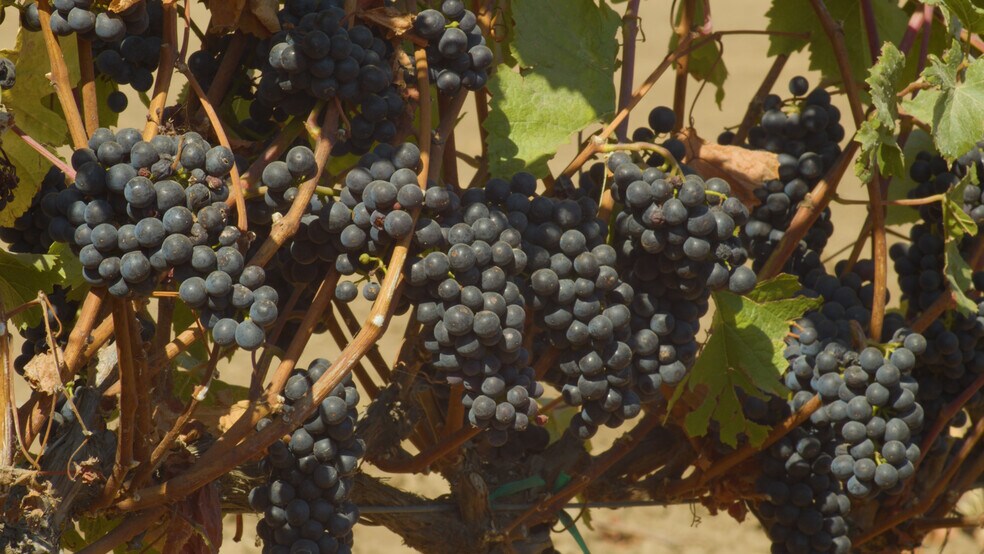 More Photos Of 1504 River Rd, Salinas Land For Sale