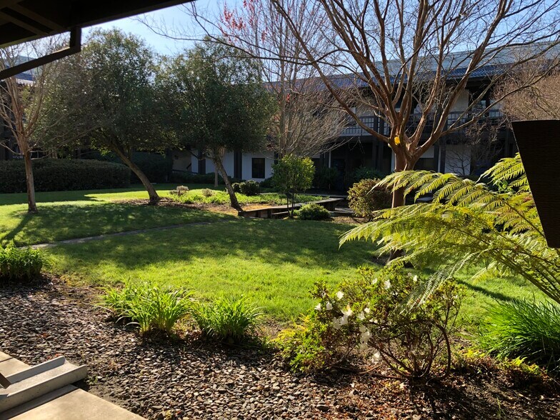 More Photos Of 181 Andrieux St, Sonoma Medical For Lease