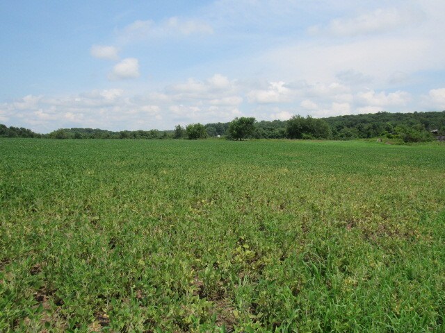 More Photos Of County Rt 19, Livingston Land For Sale