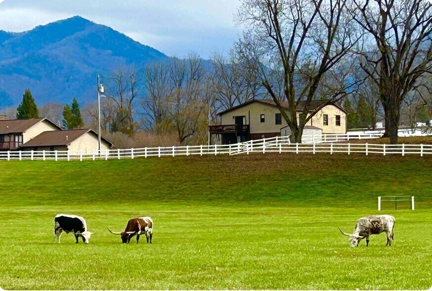 More Photos Of 45 Caboose Creek Ln, Andrews Specialty For Sale