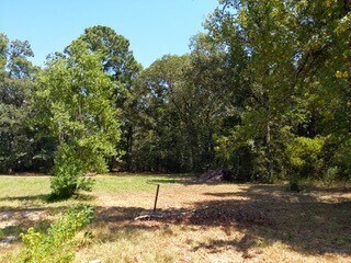 More Photos Of 26664 FM 1485 Rd, New Caney Land For Sale