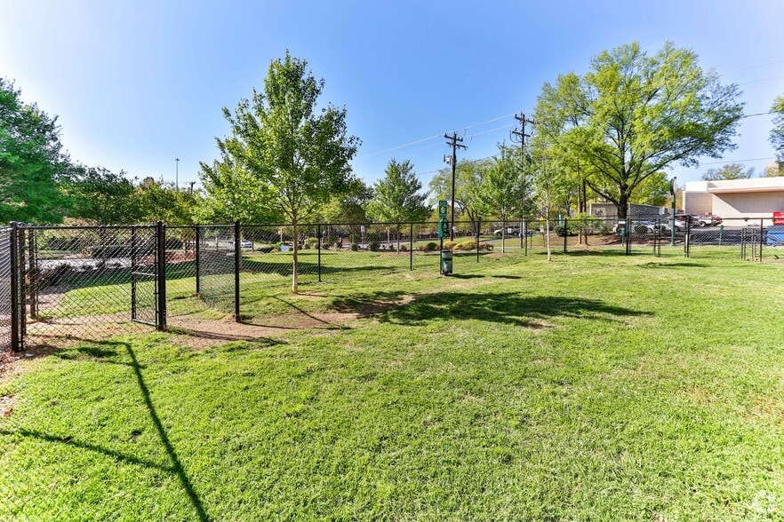 More Photos Of 810 E 7th St, Charlotte Apartments For Lease