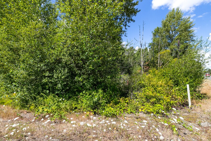 More Photos Of 115-155 Tremont Ave, Bellingham Land For Sale