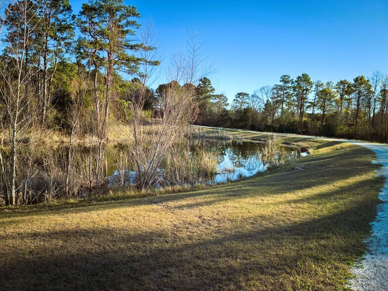 More Photos Of 231 Hostetter Rd, New Waverly Land For Sale