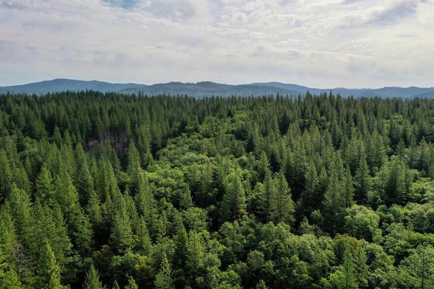 More Photos Of 6281 Bear Creek Rd, Garden Valley Land For Sale