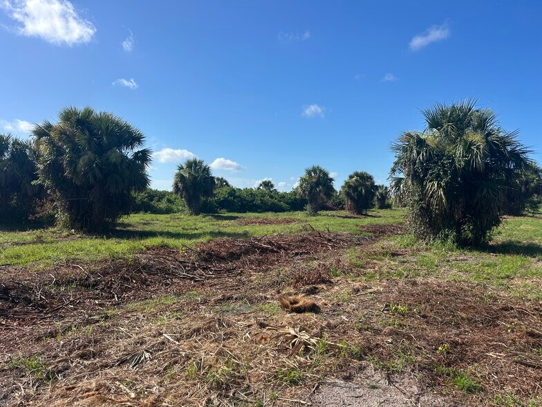 More Photos Of 7142 Grove Blvd, Punta Gorda Land For Sale