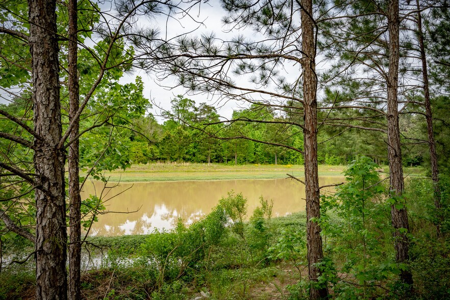 More Photos Of 28250 Fm-2978, Magnolia Medical For Lease