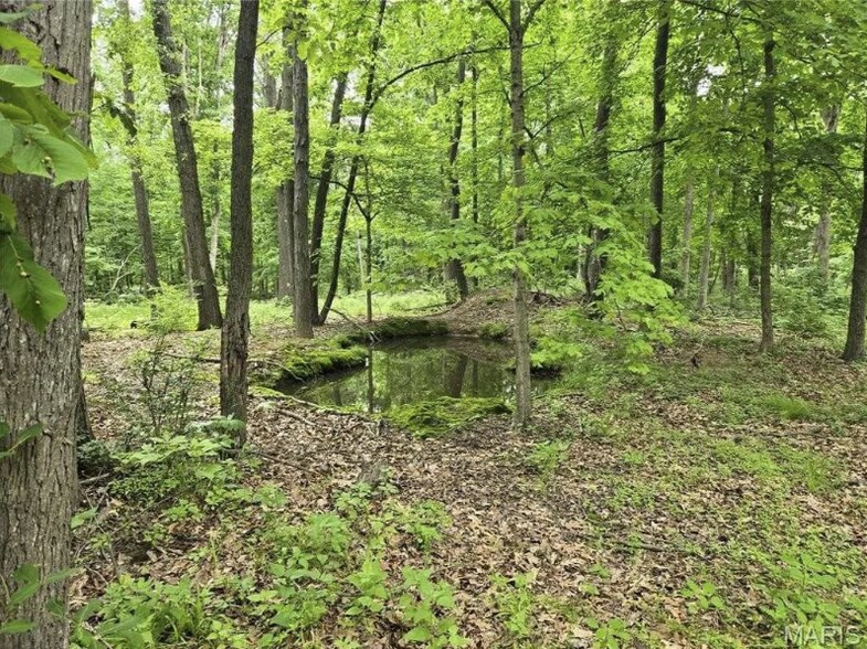 More Photos Of 6959 W Fellin Drive, Mount, Mount Olive Land For Sale