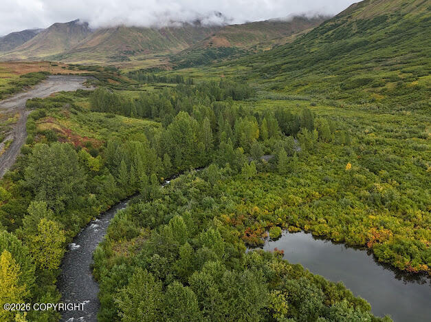 More Photos Of 000 Dutch Creek Gold Mine, Trapper Creek Land For Sale