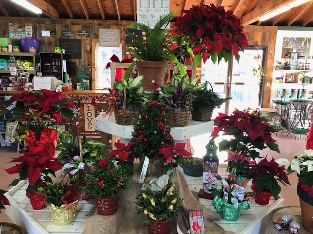 More Photos Of 398 W Main St, Groton General Retail For Sale