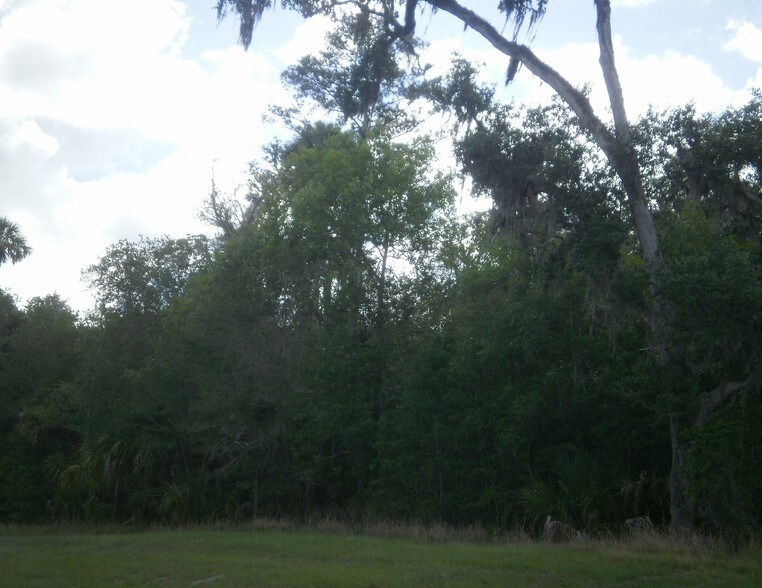 More Photos Of Cortez Blvd @ Near Mobley Road, Brooksville Land For Sale