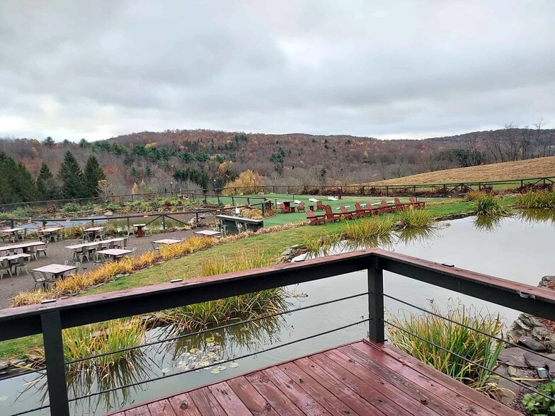 More Photos Of 304 Sutherland Rd, East Meredith Specialty For Sale